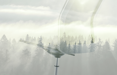 An image of a MN1 chair on a forest background; sustainability related 